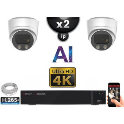 it Vidéo Surveillance PRO IP 2x Caméras POE Dômes AI LED 30M Capteur SONY UHD 4K + Enregistreur.